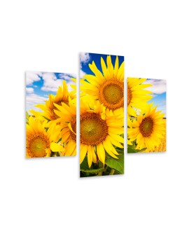 Multi-canvas 3x Sun flower